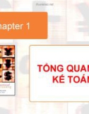 Chapter 1 TỔNG QUAN VỀ KẾ TOÁN