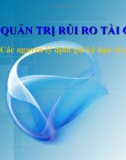 Bài giảng quản trị rủi ro tài chính - Bài 9