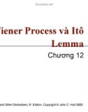 Bài giảng Tài chính phái sinh: Chương 12 - Wiener Process và Itô Lemma