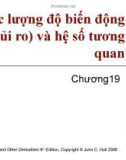 Bài giảng Tài chính phái sinh: Chương 19 - Ước lượng độ biến động (rủi ro) và hệ số tương quan