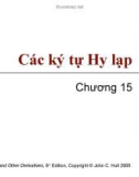 Bài giảng Tài chính phái sinh: Chương 15 - Các ký tự Hy lạp