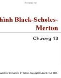 Bài giảng Tài chính phái sinh: Chương 13 - Mô hình Black-Scholes-Merton