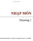 Bài giảng Tài chính phái sinh: Chương 1 - Nhập môn