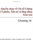 Bài giảng Tài chính phái sinh: Chương 14 - Các Quyền chọn về Chỉ số Chứng khoán, Cổ phiếu, Tiền tệ và Hợp đồng Giao sau