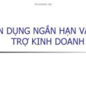 Bài giảng Nghiệp vụ tín dụng: Tín dụng ngắn hạn và tài trợ kinh doanh