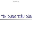 Bài giảng Nghiệp vụ tín dụng: Tín dụng tiêu dùng