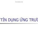 Bài giảng Nghiệp vụ tín dụng: Tín dụng ứng trước