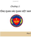 Bài giảng Nghiệp vụ hải quan: Chương 1 - Phan Thu Hiền