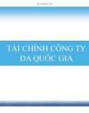 Bài giảng Tài chính công ty đa quốc gia - Chương 3 (2014)