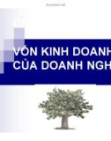 Bài giảng Tài chính doanh nghiệp: Chương 2 - GV. Đào Lan Phương