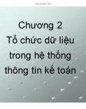 Bài giảng Hệ thống thông tin kế toán - Chương 2: Tổ chức dữ liệu trong hệ thống thông tin kế toán