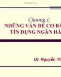 Bài giảng Nghiệp vụ ngân hàng: Chương 1 - Nguyễn Thị Lan