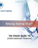 Bài giảng Tài chính quốc tế: Bài 8 - Lê Thị Hồng Minh