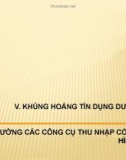 Bài giảng chương V: Khủng hoảng tín dụng dưới chuẩn hay thị trường các công cụ thu nhập cố định mới hình thành