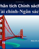 Bài giảng Phân tích Chính sách Tài chính - Ngân sách - PGS.TS. Đặng Văn Thanh