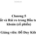 Bài giảng Thị trường chứng khoán: Chương 5 - Đỗ Duy Kiên