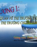 Bài giảng Thị trường chứng khoán: Chương 1 - Đoàn Thị Thu Trang