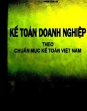 Thực hành Kế toán doanh nghiệp theo chuẩn mực kế toán Việt Nam: Phần 1