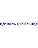 Bài giảng Công cụ phái sinh - Chương 5: Hợp đồng quyền chọn