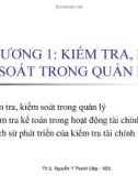 Bài giảng Kiểm toán cơ bản: Chương 1 - Th.S. Nguyễn Thị Thanh Diệp