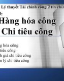 Bài giảng Lý thuyết Tài chính công: Chương 3 - Trương Minh Tuấn