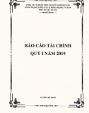 Báo cáo tài chính quý 1 năm 2019 - Công ty cổ phần Việt Nam Kỹ nghệ Súc sản