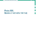 Kiểm toán sở hữu trí tuệ và công cụ: Phần 2