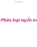 Phân loại tuyến trùng