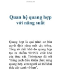 Quan hệ quang hợp với năng suất