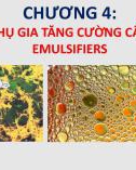 Bài giảng Phụ gia thực phẩm - Chương 4: Chất phụ gia tăng cường cấu trúc