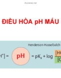 ĐIỀU HÒA pH MÁU