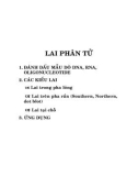 KỸ THUẬT DI TRUYỀN - PHẦN 4