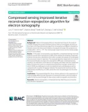 Compressed sensing improved iterative reconstruction-reprojection algorithm for electron tomography