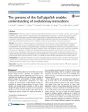 The genome of the Gulf pipefish enables understanding of evolutionary innovations