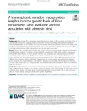 A transcriptomic variation map provides insights into the genetic basis of Pinus massoniana Lamb. evolution and the association with oleoresin yield