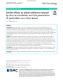 Similar effects as shade tolerance induced by dust accumulation and size penetration of particulates on cotton leaves