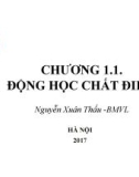 Bài giảng Vật lý 1: Chương 1.1 - Nguyễn Xuân Thấu