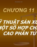 Bài giảng Hóa kỹ thuật - Chương 11: Kỹ thuật sản xuất một số hợp chất cao phân tử