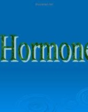 Bài giảng Tìm hiểu về Hormone