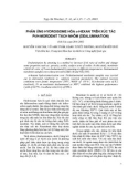 Phản ứng hydroisome hóa n-hexan trên xúc tác Pt/H-Mordenit tách nhôm (dealumination)