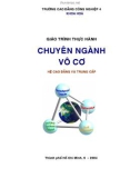 Giáo trình Thực hành chuyên ngành vô cơ (hệ Cao đẳng và Trung cấp): Phần 1