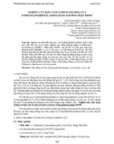 Nghiên cứu khả năng chống oxi hóa của N-phenylhydroxylamine bằng phương pháp DPPH