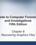 Guide to Computer forensics and investigations - Chapter 8: Recovering graphics files