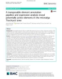 A transposable element annotation pipeline and expression analysis reveal potentially active elements in the microalga Tisochrysis lutea