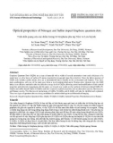 Optical properties of nitrogen and sulfur doped graphene quantum dots