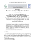 Preparation of CuO nanorods by thermal oxidation in ozone ambient