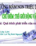 giáo án điện tử Quá trình phát triển của con gà