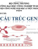 Cấu trúc gen