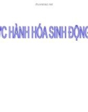 Bài giảng Hóa sinh động vật - Thực hành hoá sinh động vật