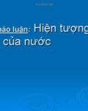 Hiện tượng nở hoa của nước